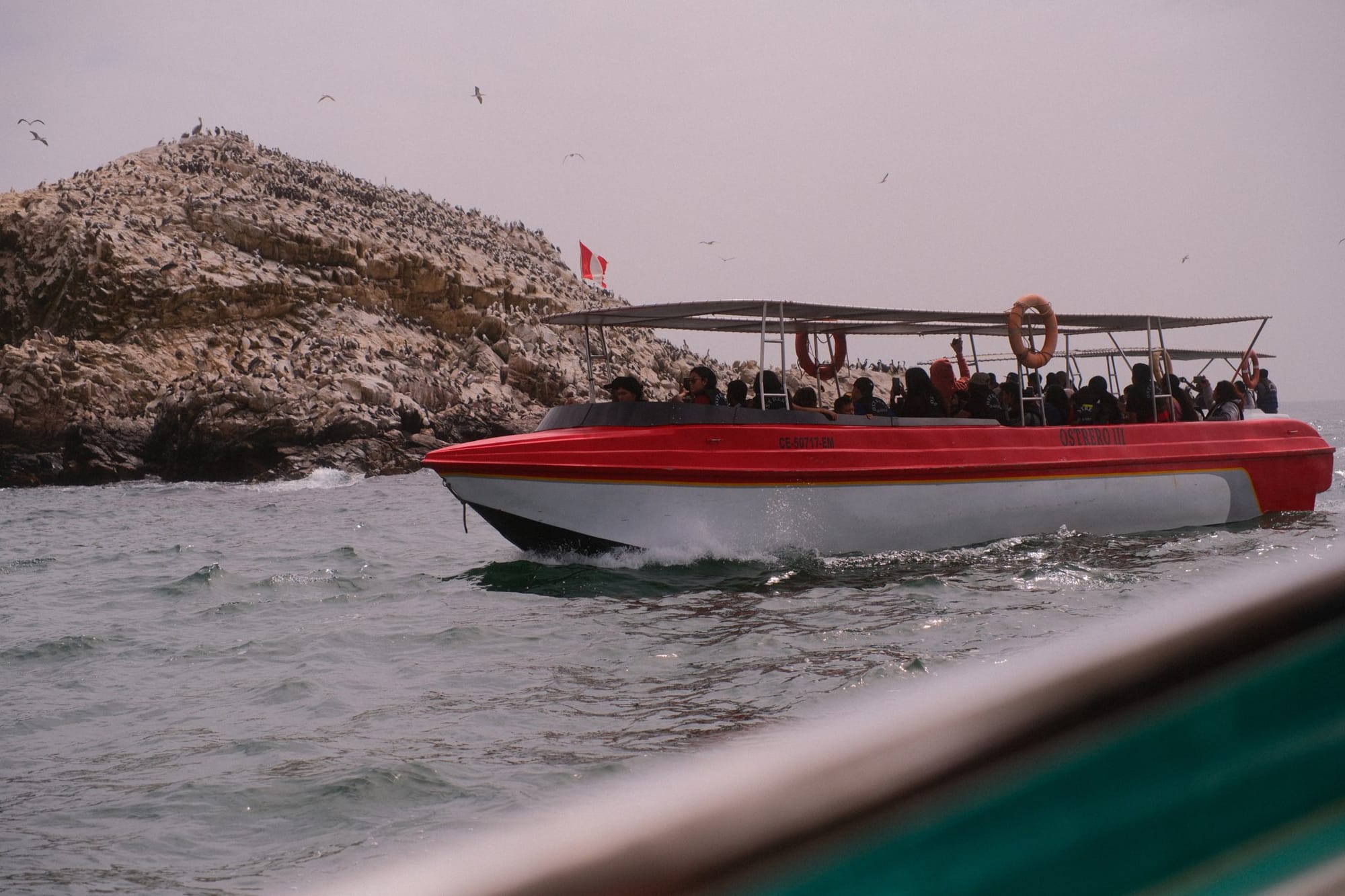 As Ilhas Ballestas de barco