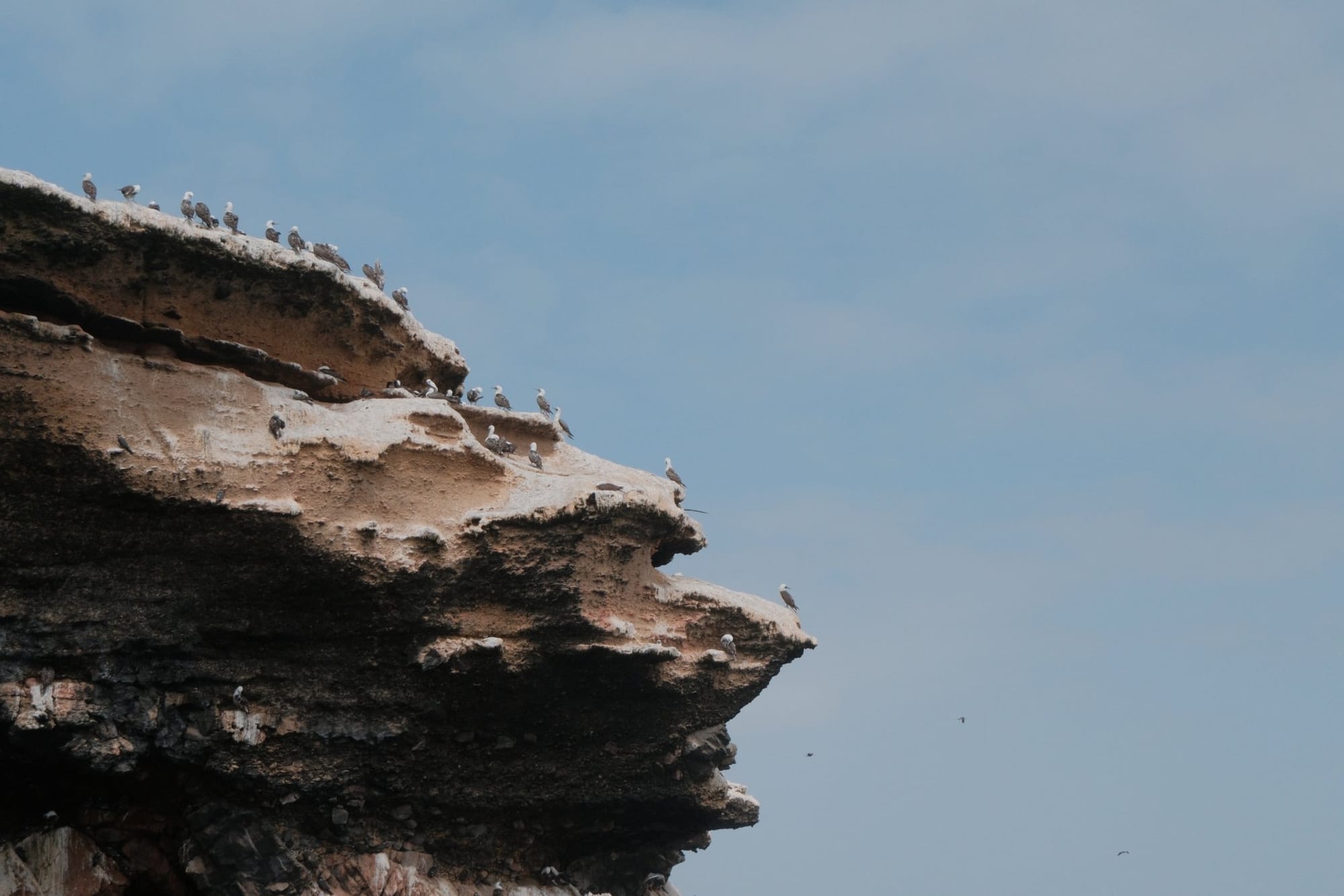 As Ilhas Ballestas de barco