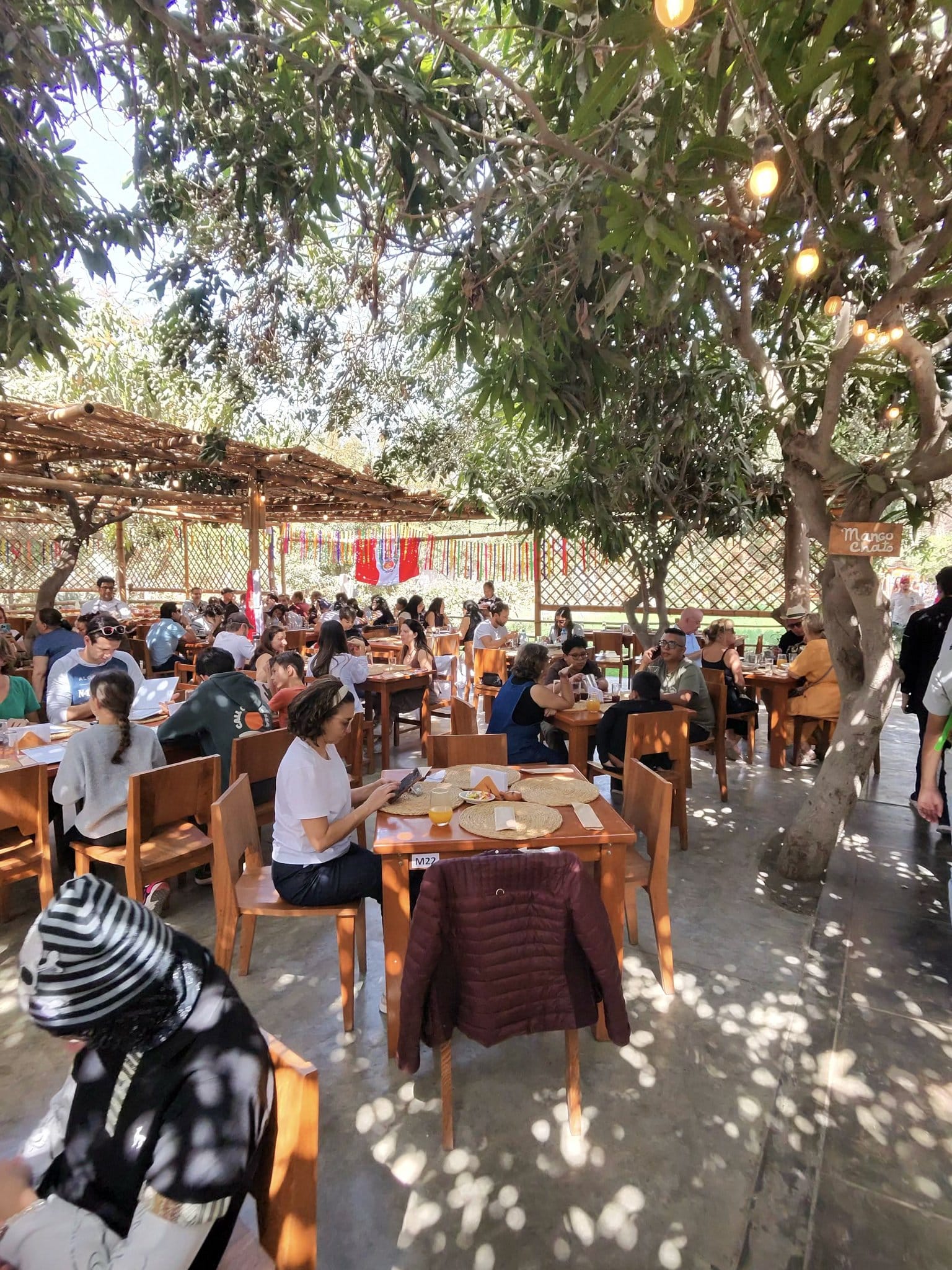 Culturpisco: a parada da vinícola em Ica