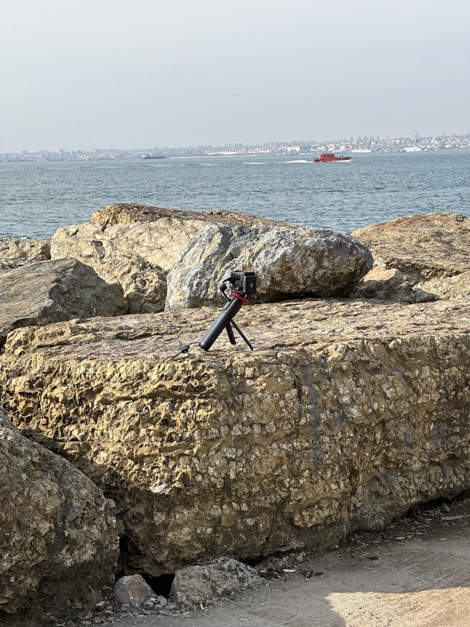 O parque de Moda, o Mar de Mármara e as águas-vivas