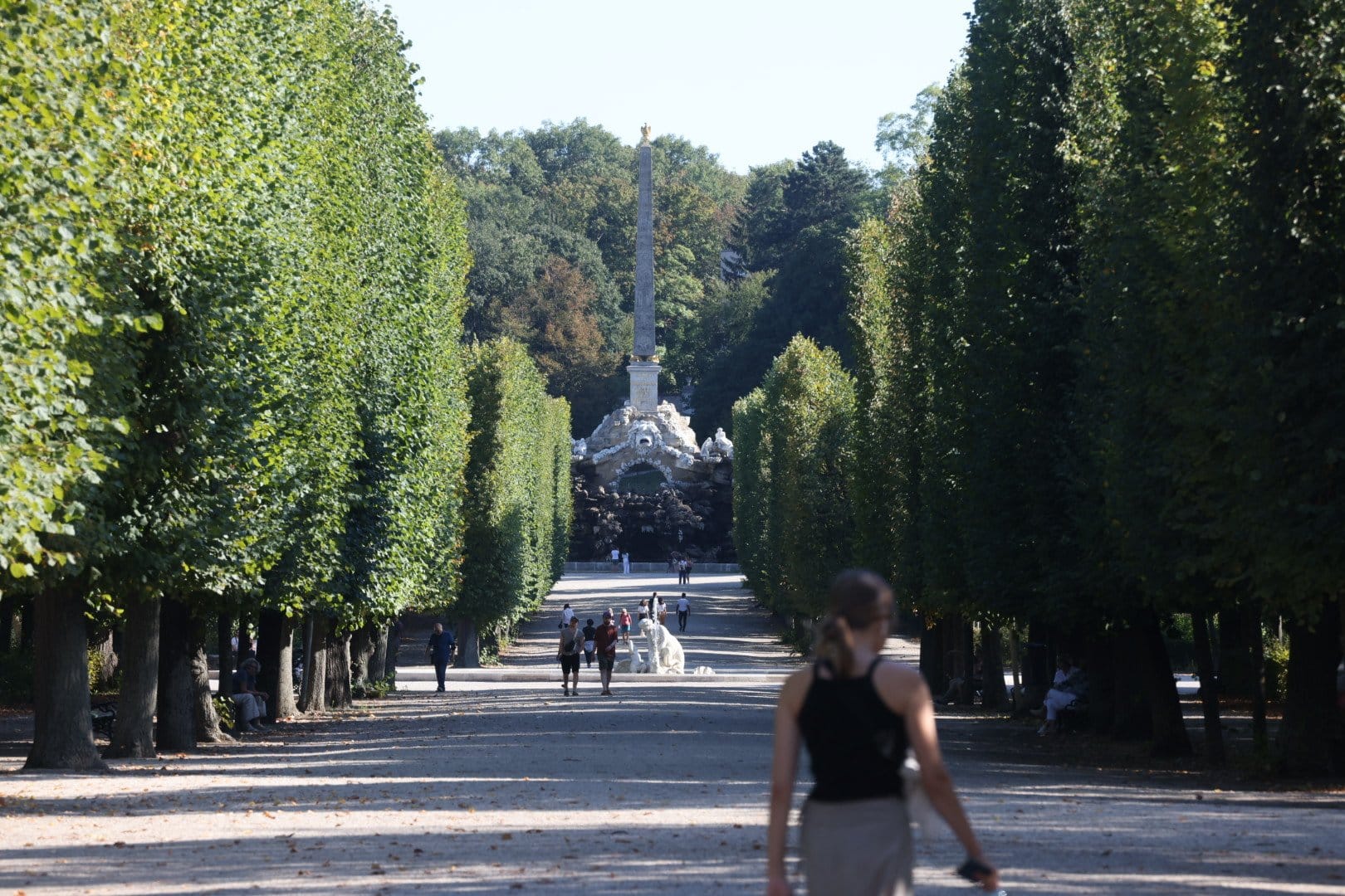 Palácio Schönbrunn: 266 campos de futebol