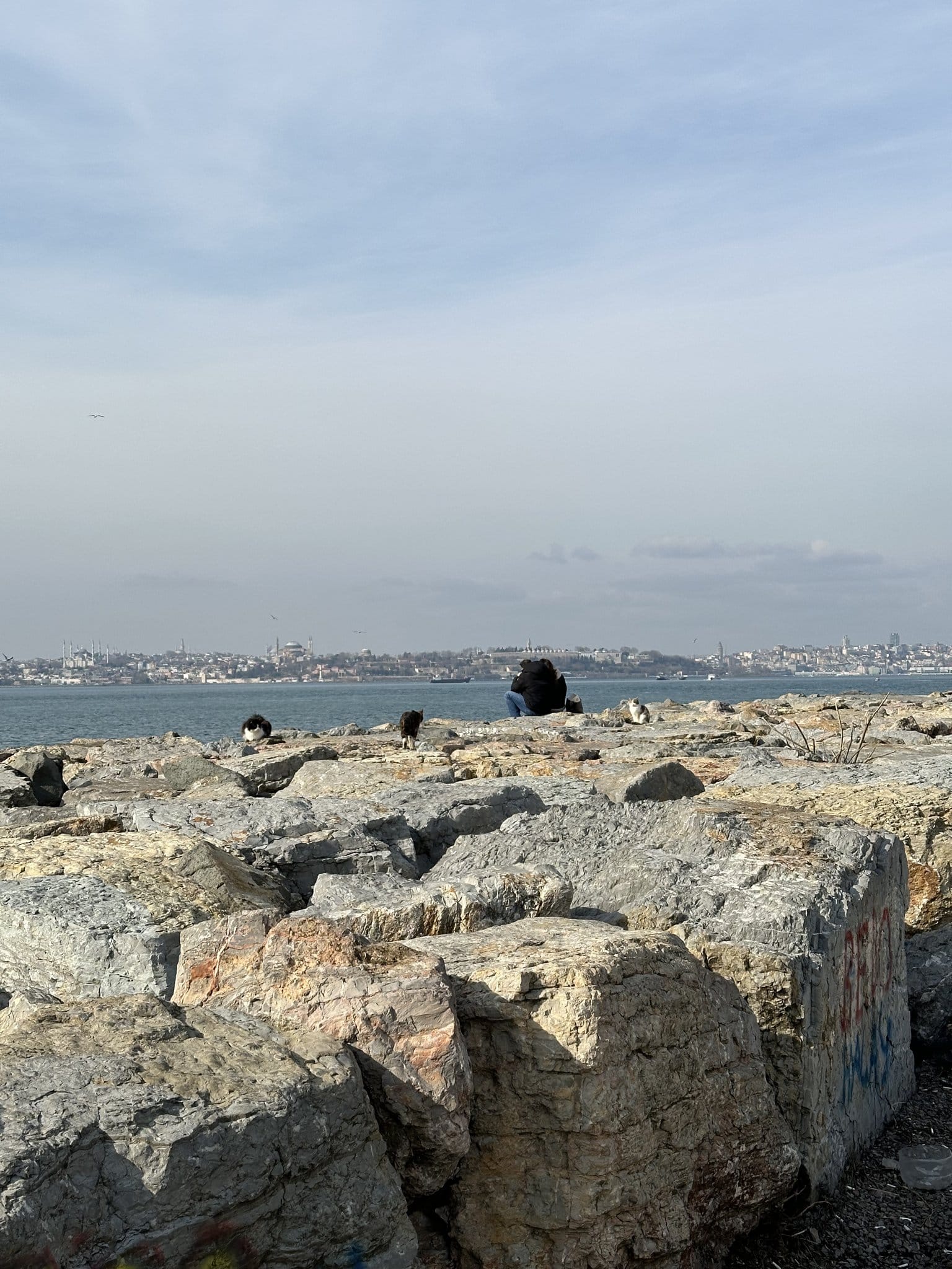 O parque de Moda, o Mar de Mármara e as águas-vivas