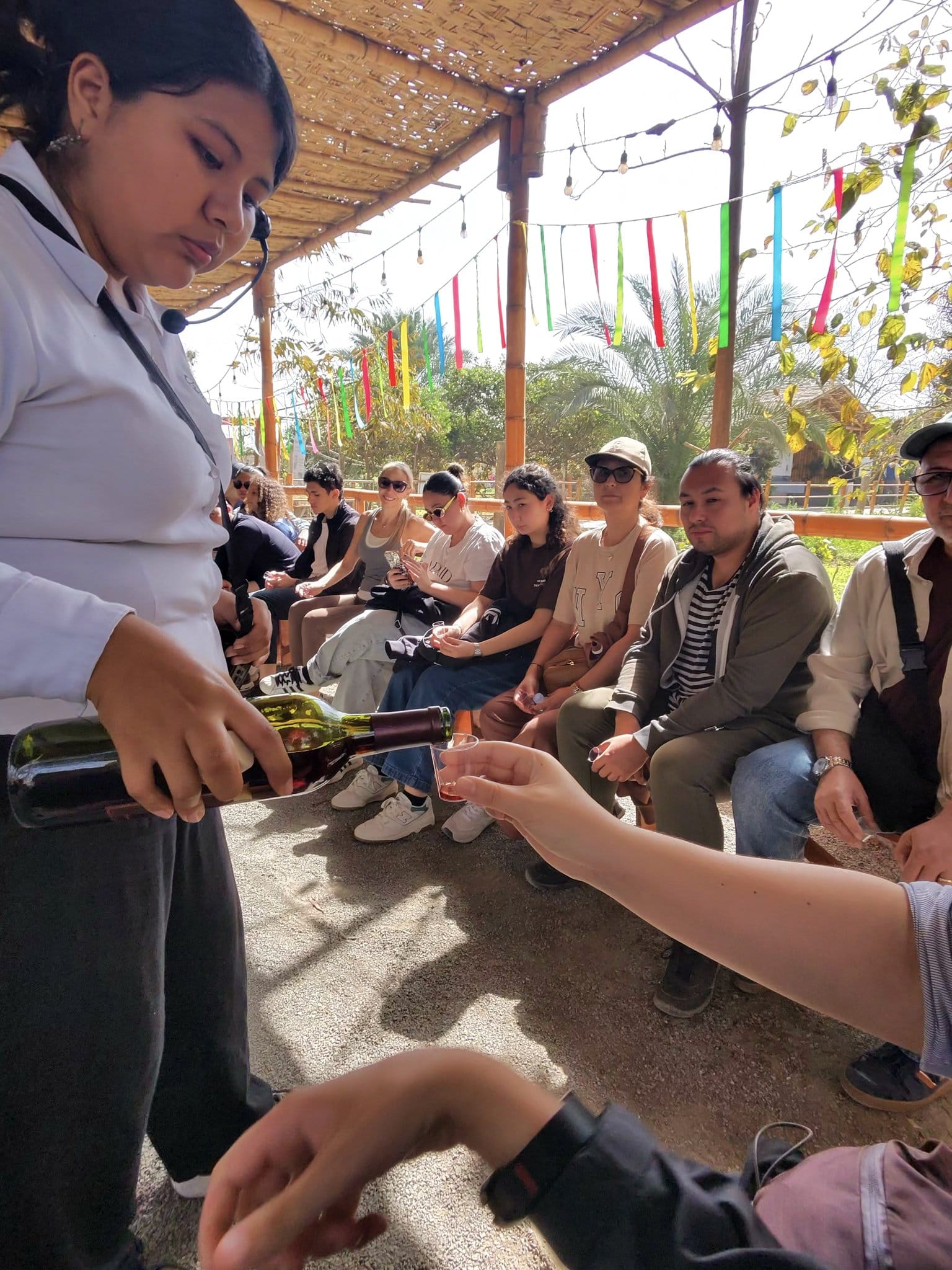 Culturpisco: a parada da vinícola em Ica