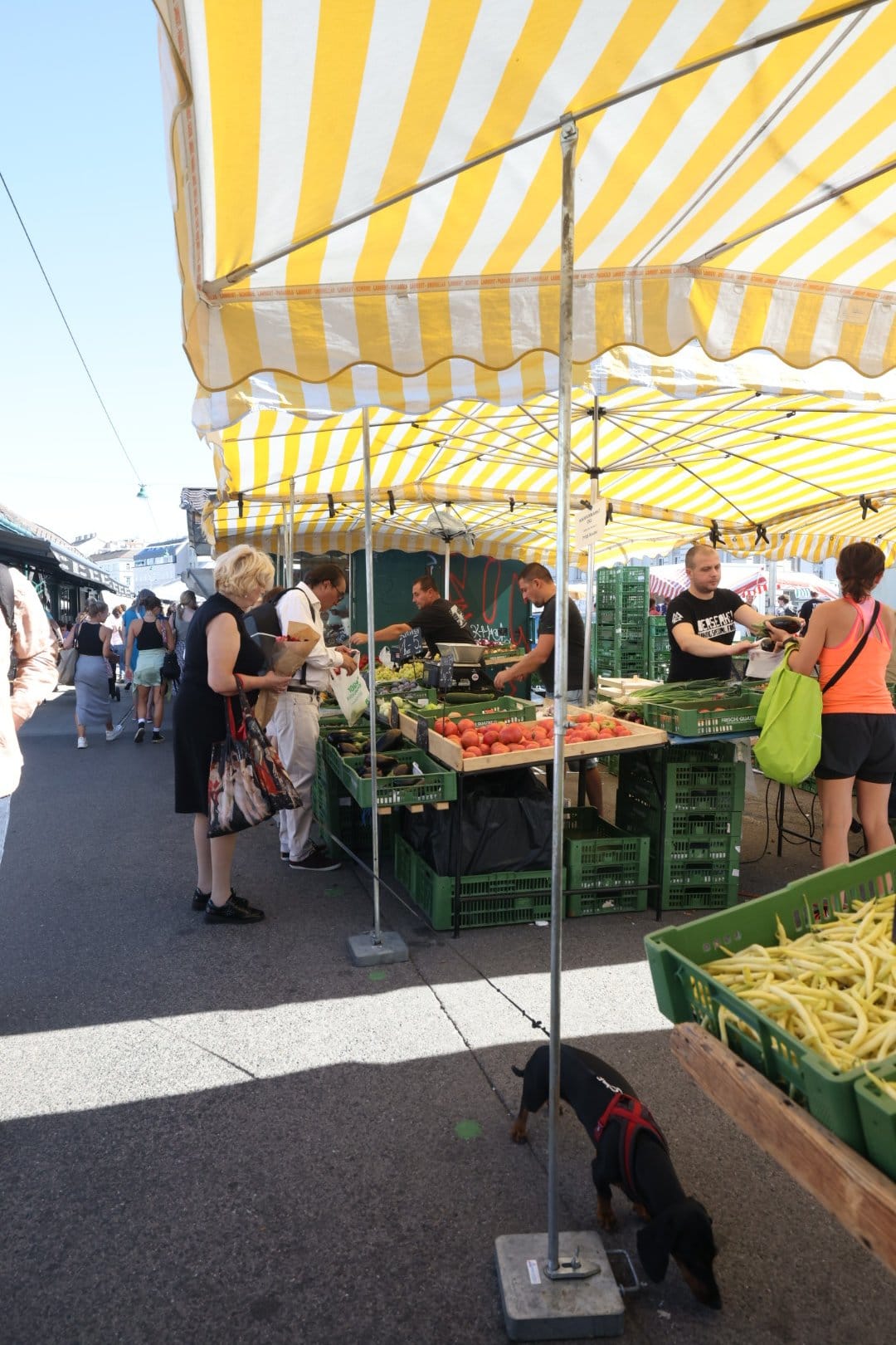 Naschmarkt: 1,5 km de mercado