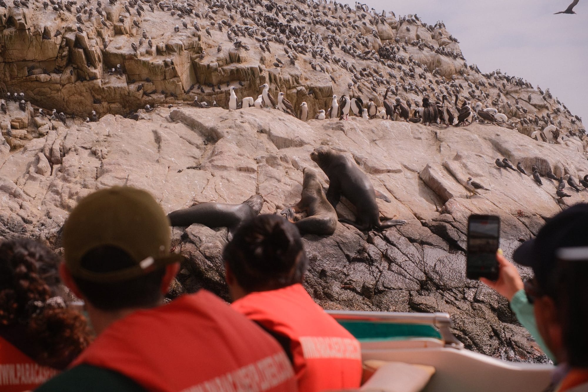 As Ilhas Ballestas de barco