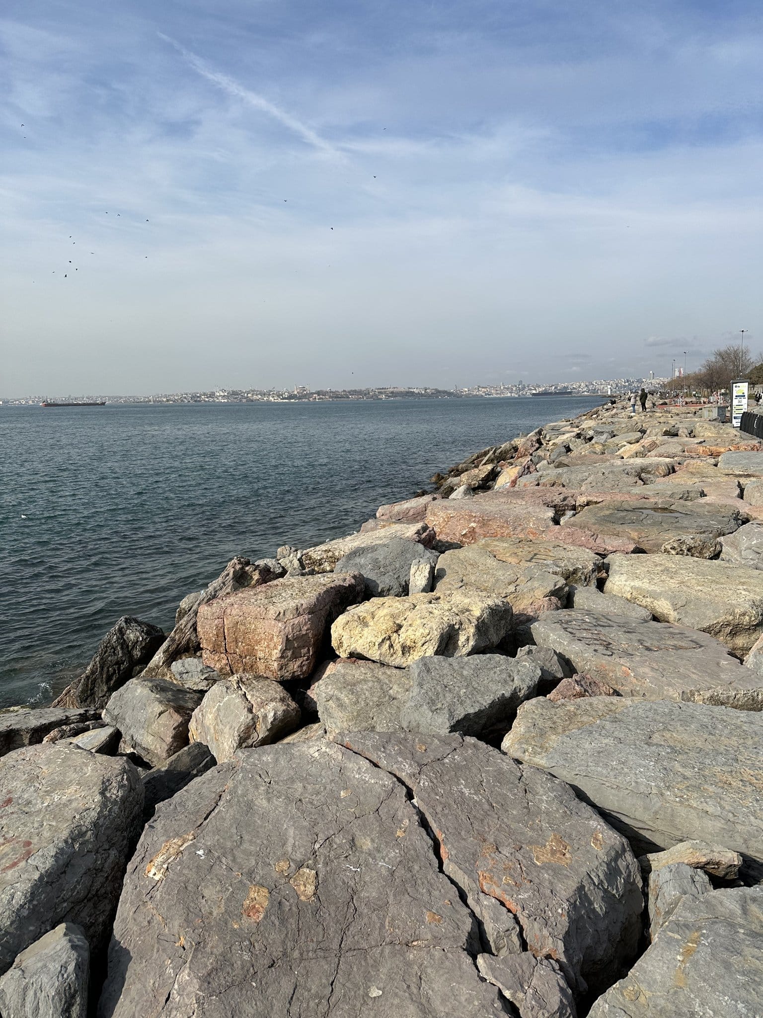O parque de Moda, o Mar de Mármara e as águas-vivas
